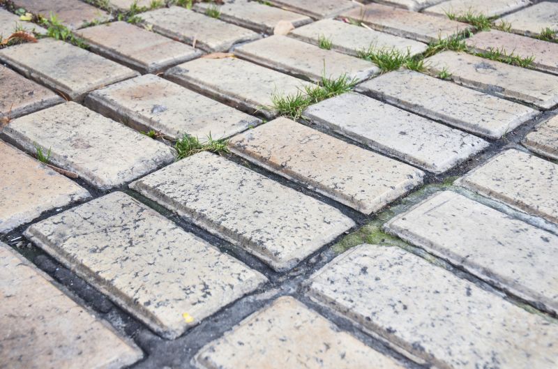 Brick Flatwork Repair in Waller, TX