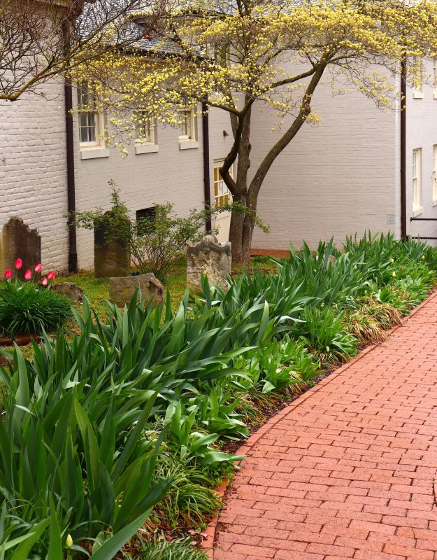 Brick Pathway Repair in Cypress, TX