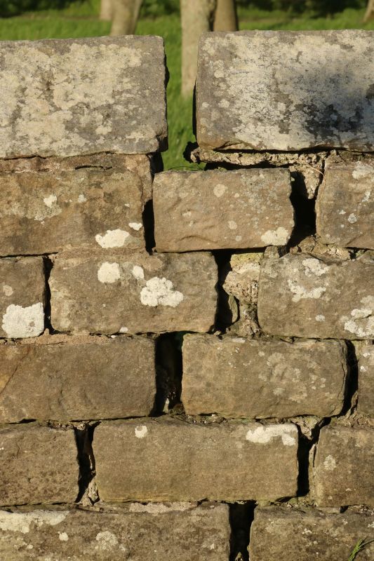 Rock Wall Repair in Cypress, TX